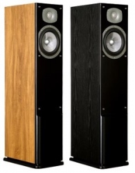 Напольная акустика Energy C-300 Напольная акустика Energy C-300