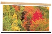 Экраны Draper Artisan V 72"-120" Экраны Draper Artisan V 72"-120"