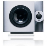 Подвесная акустика Vienna Acoustics Berg Silver