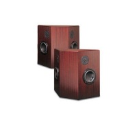 Подвесная акустика Totem Acoustic LYNKS Подвесная акустика Totem Acoustic LYNKS