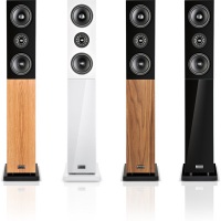 Напольная акустика Audio Physic Classic 10 Напольная акустика Audio Physic Classic 10