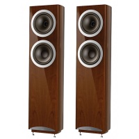 Напольная акустика Tannoy DC10 T