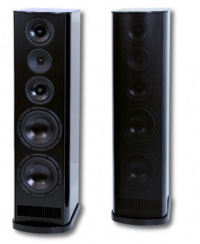 Напольная акустика T+A TCD 110 S