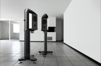 Полочная акустика Wilson Benesch Endeavour