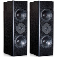 Полочная акустика Totem Acoustic Mite-T