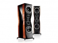 Напольная акустика Peak Consult Dragon Legend MKII Напольная акустика Peak Consult Dragon Legend MKII