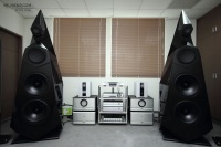 Напольная акустика Avalon Acoustics Tesseract