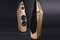 Напольная акустика Avalon Acoustics Saga Напольная акустика Avalon Acoustics Saga