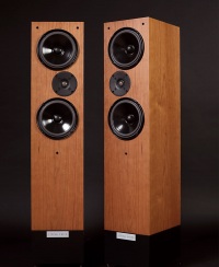 Напольная акустика Living Voice IBX-R4 (Cherry, Maple, Walnut) Напольная акустика Living Voice IBX-R4 (Cherry, Maple, Walnut)