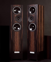 Напольная акустика Living Voice IBX-RW4 (Burr Oak, Ebony) Напольная акустика Living Voice IBX-RW4 (Burr Oak, Ebony)