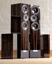 Напольная акустика Living Voice IBX-RW4 (Gloss Ebony)