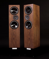 Напольная акустика Living Voice OBX-RW4 (Cherry, Maple, Walnut) Напольная акустика Living Voice OBX-RW4 (Cherry, Maple, Walnut)
