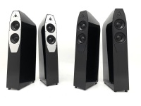 Напольная акустика EgglestonWorks Emma EVO Напольная акустика EgglestonWorks Emma EVO